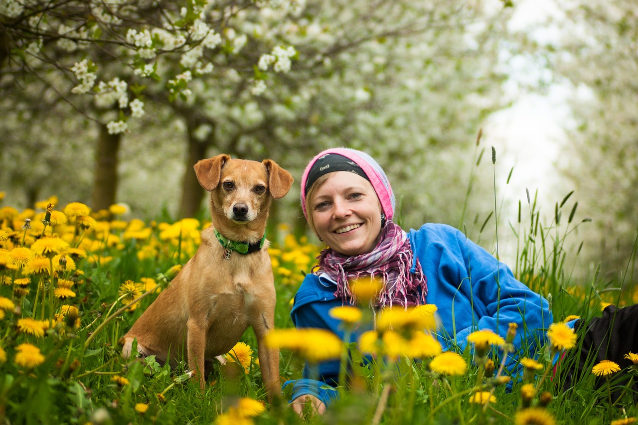 team, woman, pet